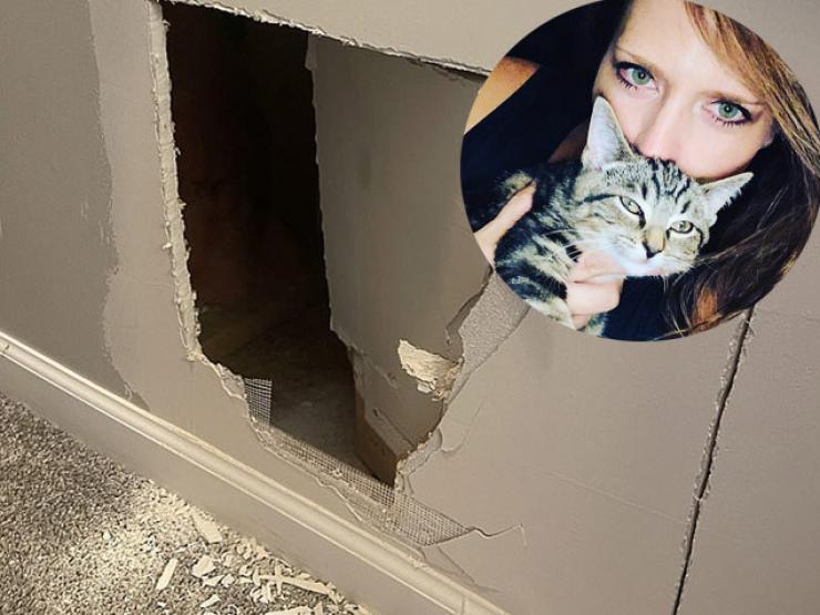 Clip: Người phụ nữ hốt hoảng khi mèo cưng bị nhốt trong tường thạch cao